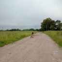 thecottoncandyprostitutes avatar