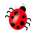 thecraftybug avatar