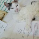 thecraftywriter avatar