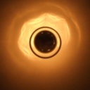 thecurseofbrian avatar