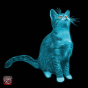 thecyancat avatar