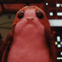 thedailyporg avatar