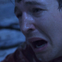 thedailywhannell avatar