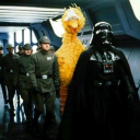 thedamfrenchfries avatar