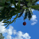 thedarkest-days avatar