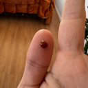 thedarkwhispers avatar