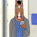 thedisguisedfrog avatar