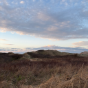 thedoctorswizard77 avatar