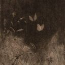 thedogfromthatmitskisong avatar