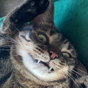 thedragoncrypt avatar