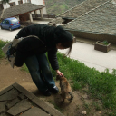 thedreamcorner avatar