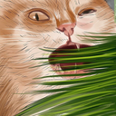 thedrunkercat avatar