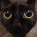 theentirepopulationoflebabon avatar