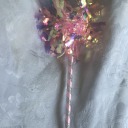 theextremegoddessdiaries avatar