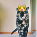 thefallofmccall avatar