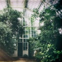 thefloweringazalea avatar