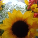 theflowerpunknerd avatar