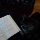 theforgottenbibliophile avatar