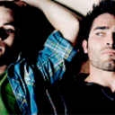 thefoxandthealpha avatar