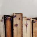 thefoxandthegoosehound avatar