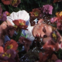 thefrontofmymind avatar