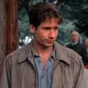 thegingeralchemist avatar