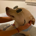 thegirlbythepiano avatar