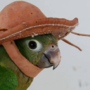 thegood-byelook avatar