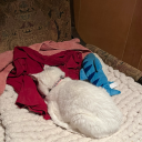 thegoodthatwontcomeoutofme avatar