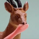 thegreatdreamingswan avatar