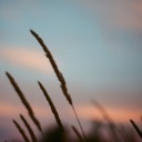 thegreatmystery avatar