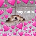 thegreatredrabbit avatar