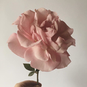 thehourofvengeance avatar