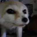 thehuesarrange avatar