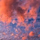 thehugmonster avatar