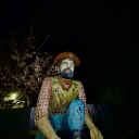 thehypnoticbunny avatar