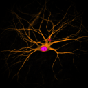 theinsideofablackhole avatar