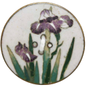 theinternetarchive avatar