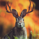 thejackalope231 avatar