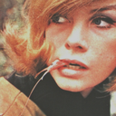 thejeanshrimpton avatar