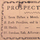 thekingstemptress avatar