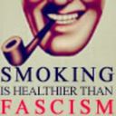 thelanguiddreamer avatar