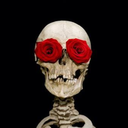 thelastwookie avatar