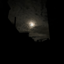 thelaughaholicbitch avatar