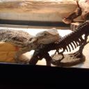 thelgbtbookblogger avatar