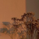 thelightofthemoon avatar