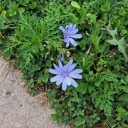 thelightsgoout avatar