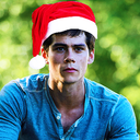 thelionpawsmoved-blog avatar