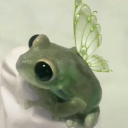 thelittlefrogblog avatar