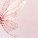 thelittlerfae avatar